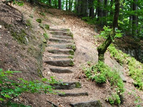 Image qui illustre: Us Trail 2 : L'avison Ou Hill D à Bruyères - 0