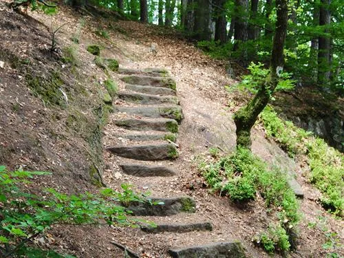 Image qui illustre: Us Trail 2 : L'avison Ou Hill D