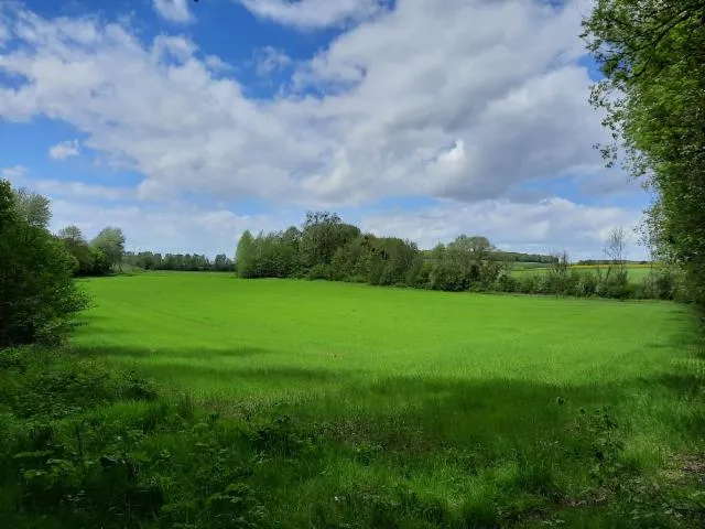 Image qui illustre: Des Jardinets Au Bois Louvet (variante)