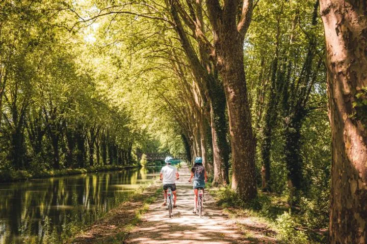 Image qui illustre: Le Canal Des 2 Mers À Vélo En Lot-et-garonne