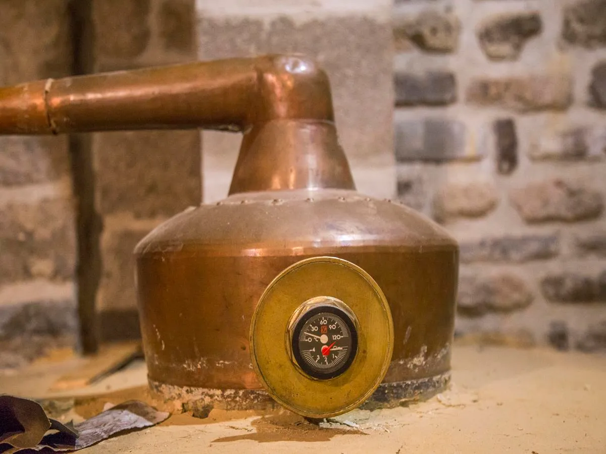 Image qui illustre: Visite Distillation Et Dégustation À La Cidrerie Mette Au Mesnil Caussois à Noues de Sienne - 1