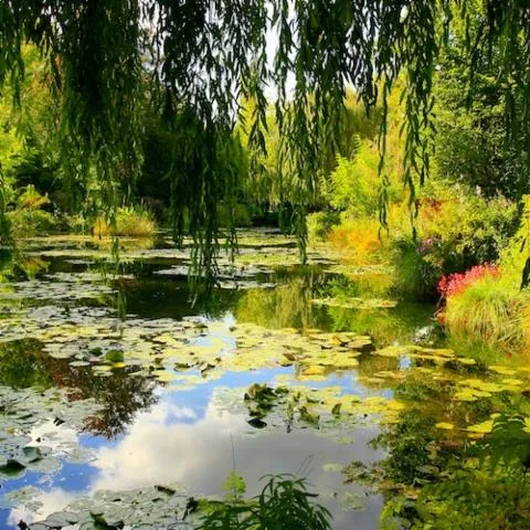 Image qui illustre: Jardins de Monet à Giverny : Visite guidée d'une demi-journée depuis Paris