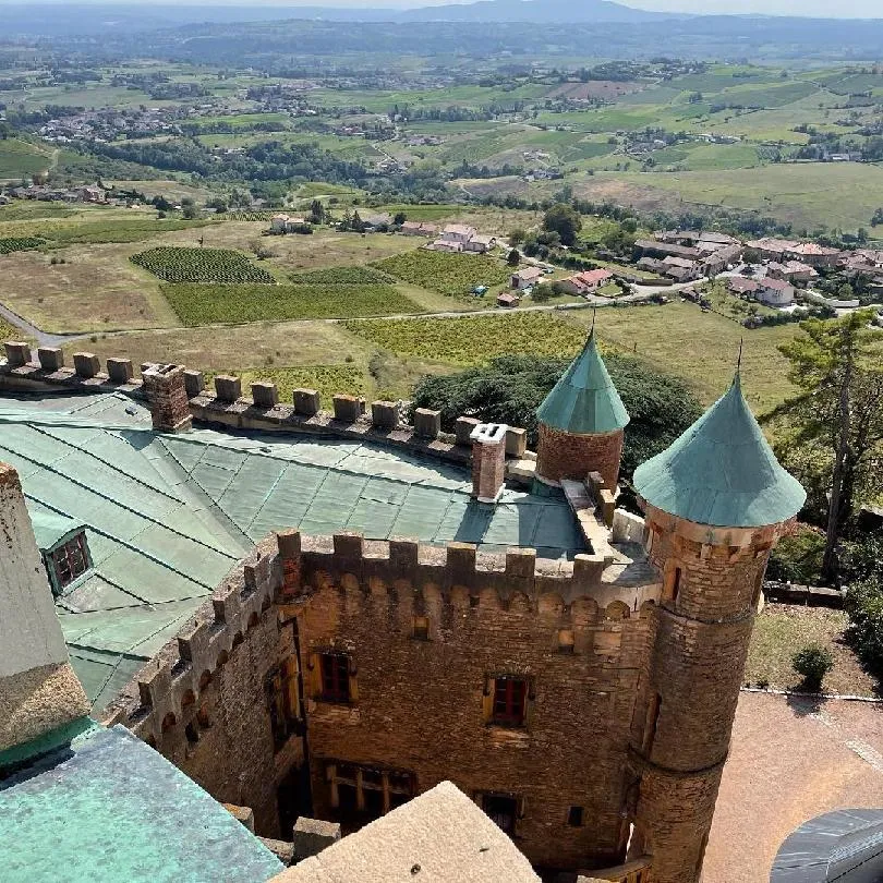 Image qui illustre: Château de Montmelas