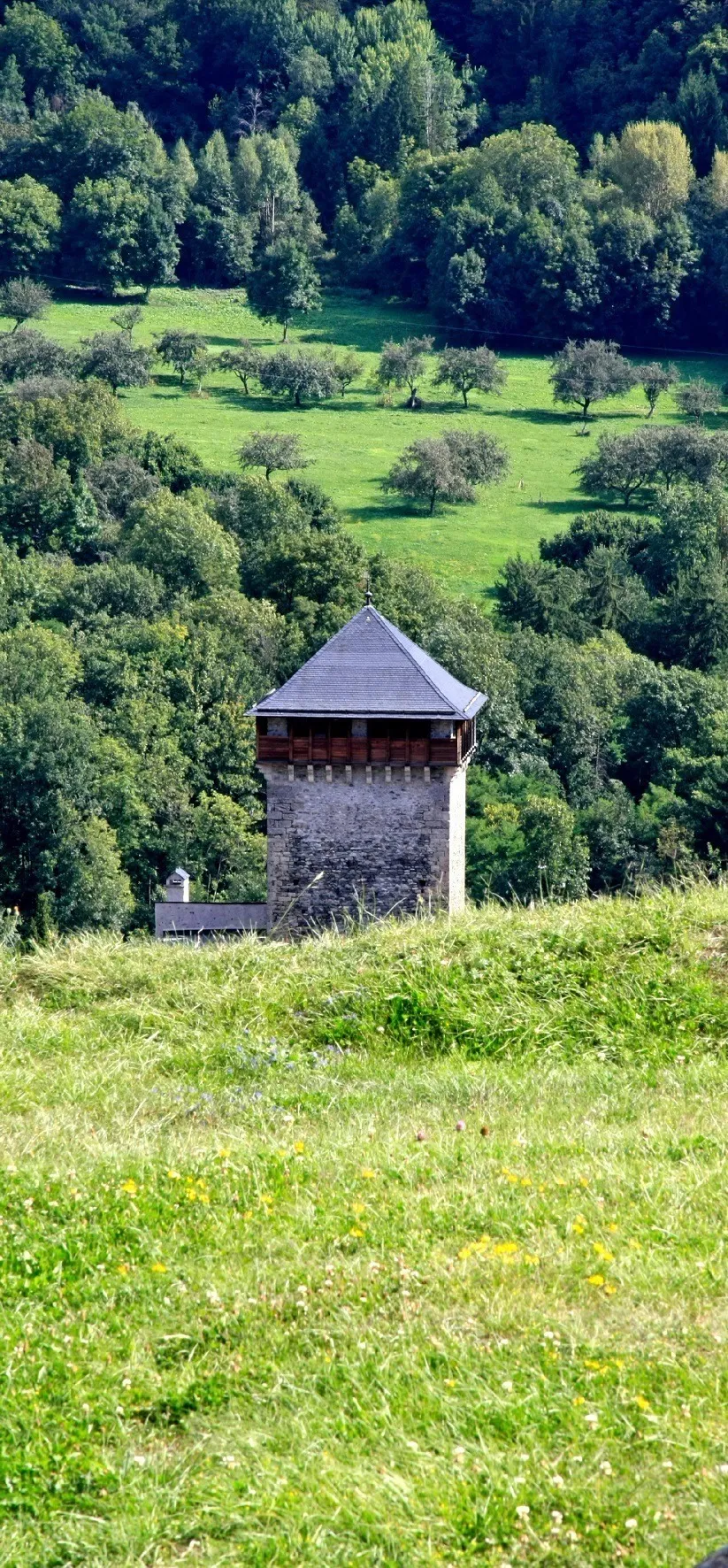 Image qui illustre: Visite libre du château Montmayeur à Aime-la-Plagne - 0