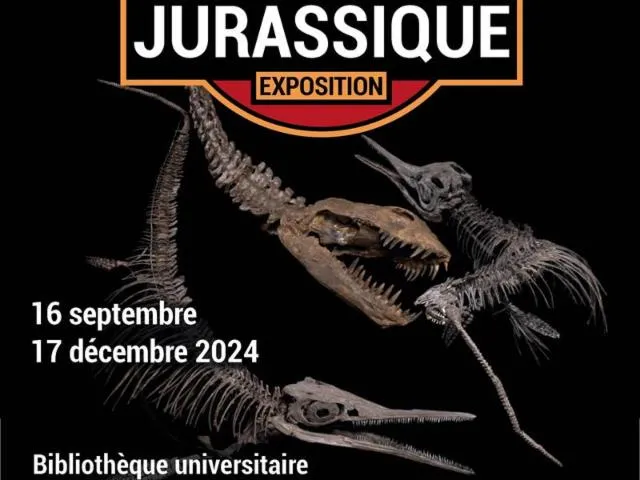 Image qui illustre: Exposition - Monstres Marins Du Jurassique