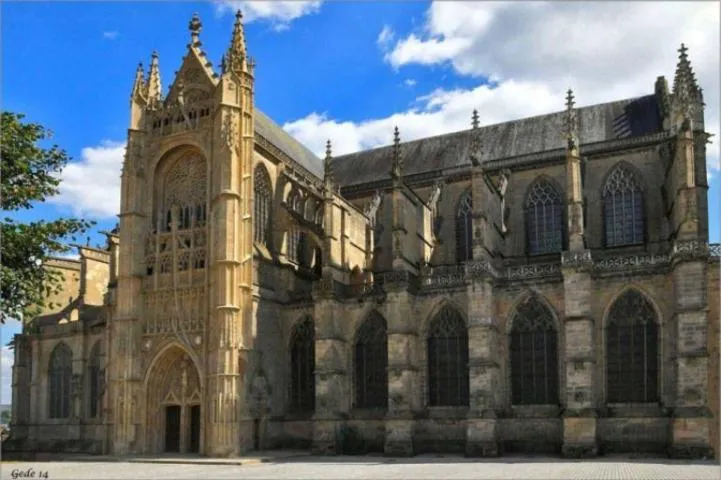 Image qui illustre: Cathédrale Saint-Etienne