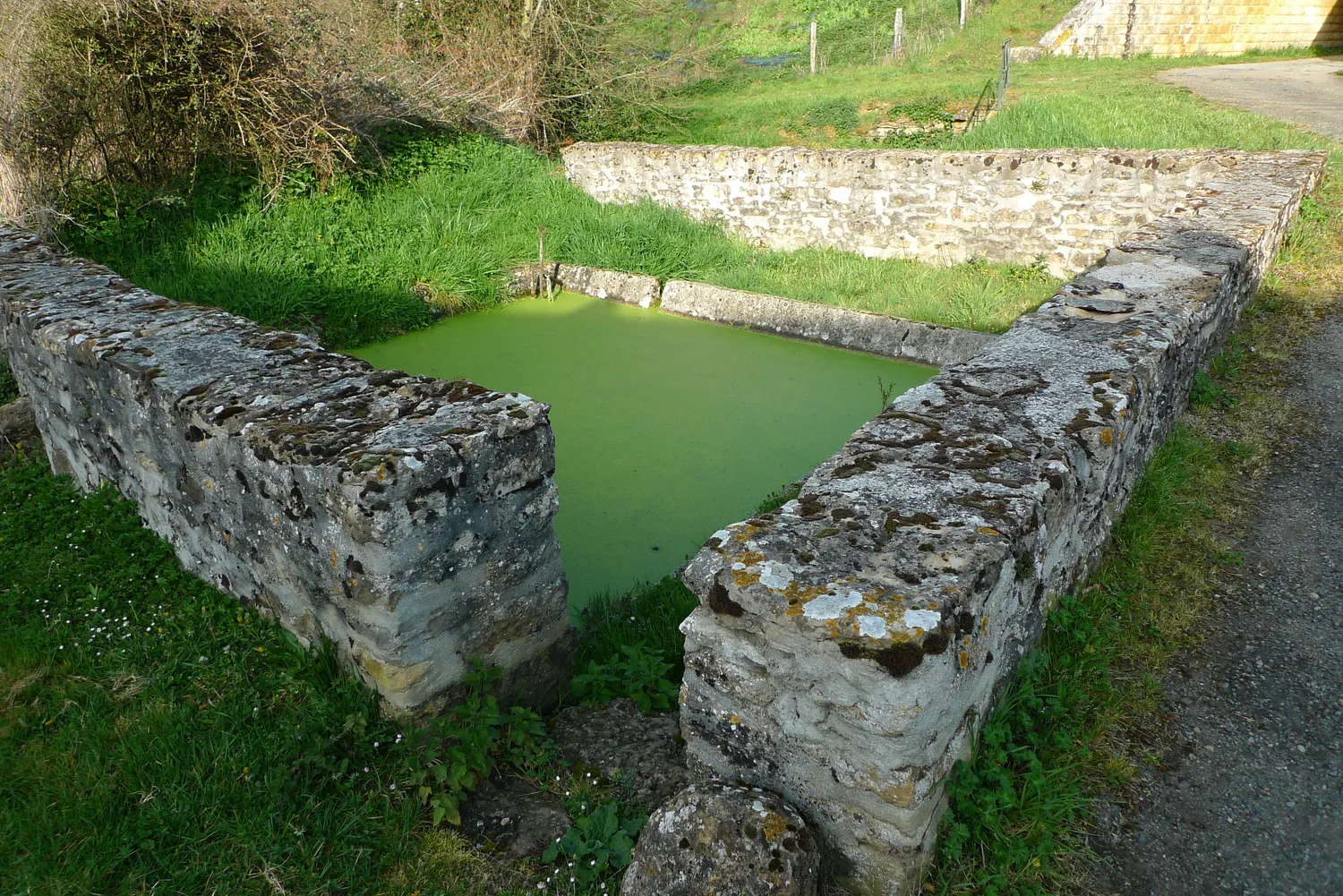 Image qui illustre: Sentier De L'eau À La Pierre à Chavin - 2
