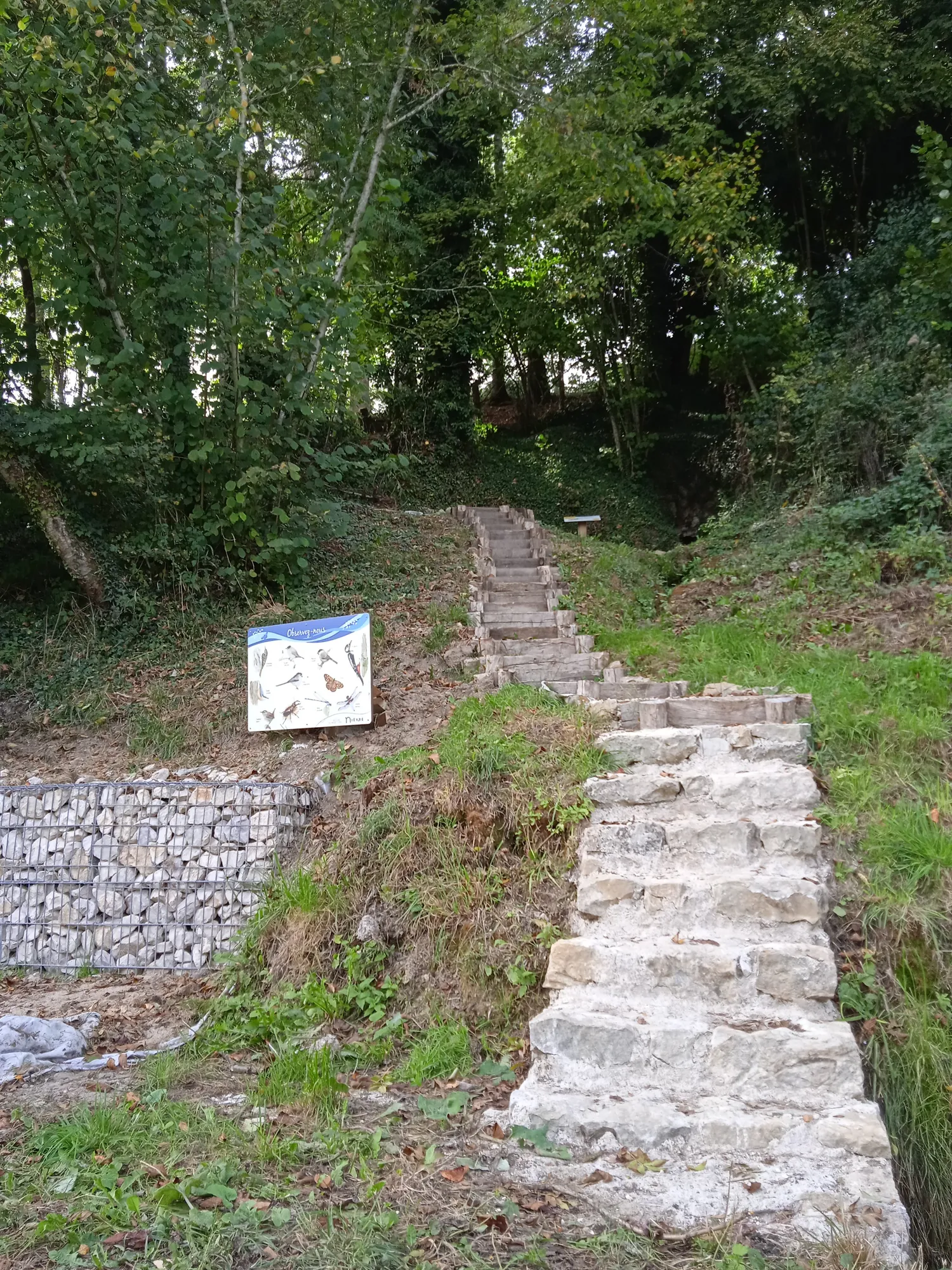 Image qui illustre: Source Des Vreilles à Cercy-la-Tour - 1