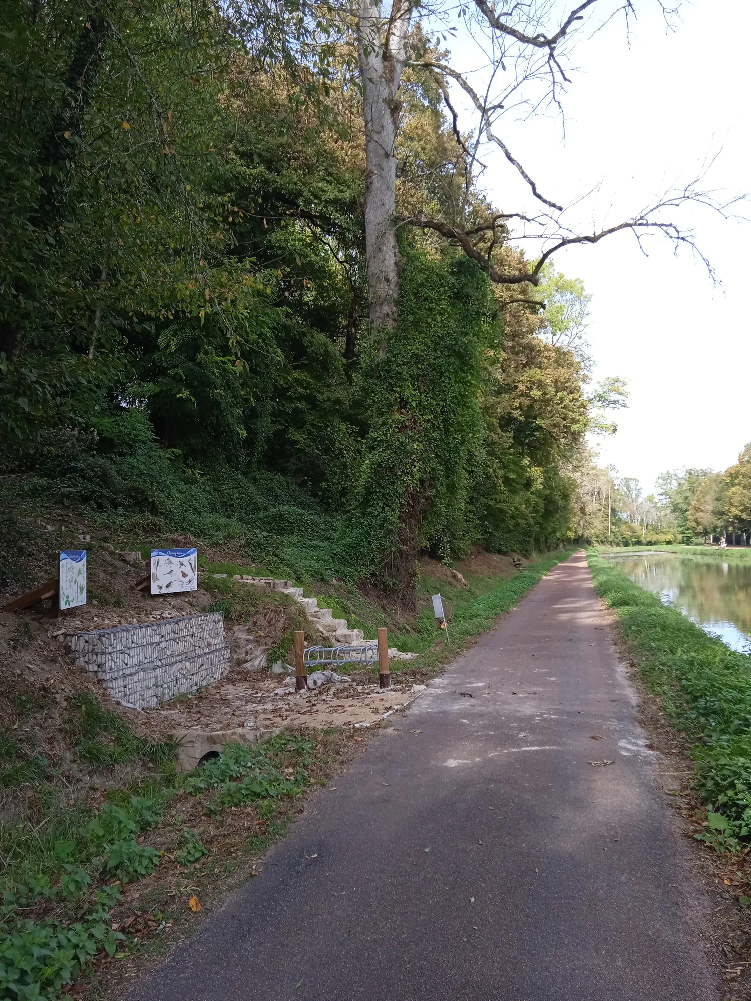 Image qui illustre: Source Des Vreilles à Cercy-la-Tour - 2