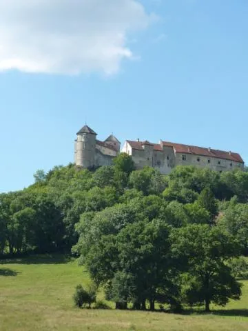 Image qui illustre: Château de Belvoir 