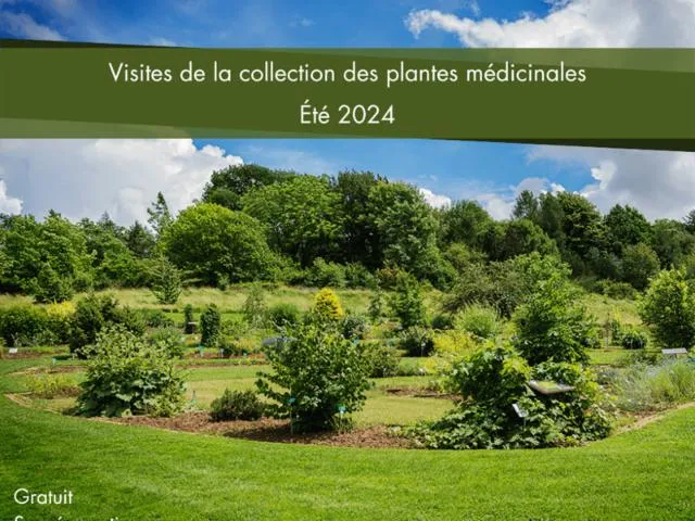 Image qui illustre: Visites De La Collection Des Plantes Médicinales