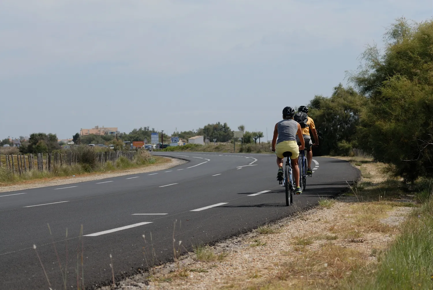 Image qui illustre: La Camargue à Vélo : 6 Couleurs gardiannes, couleurs gitanes à Saintes-Maries-de-la-Mer - 1