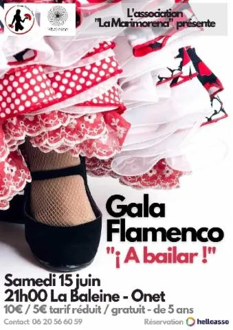 Image qui illustre: Gala Flamenco : A Bailar