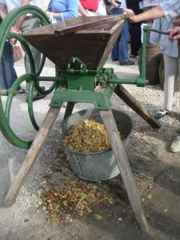 Image qui illustre: Atelier fabrication traditionnelle de jus de pomme