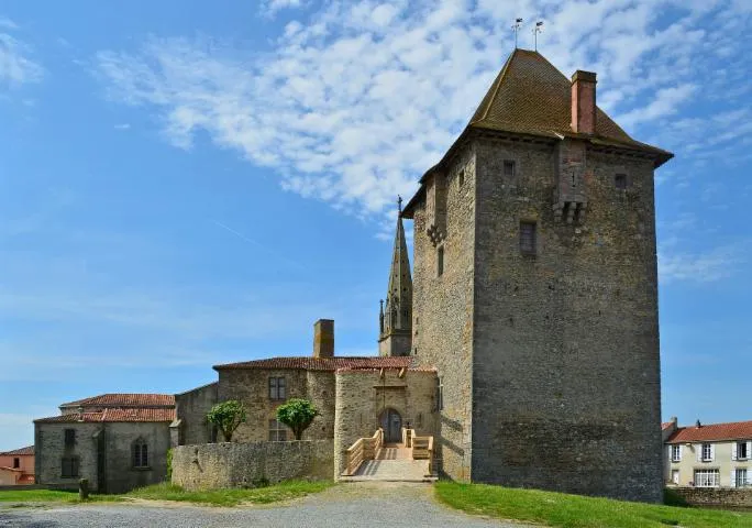 Image qui illustre: Château d'Ardelay