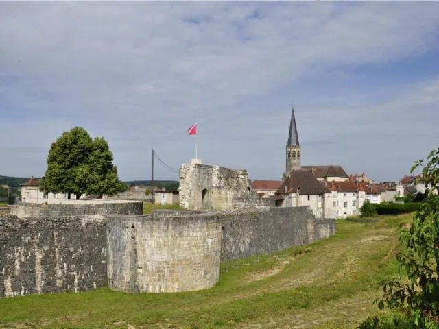 Image qui illustre: Forteresse Du Vieux Chatel-sur-moselle