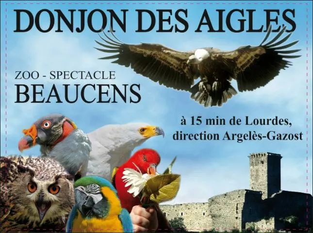 Image qui illustre: Partez à la découverte du donjon des Aigles !