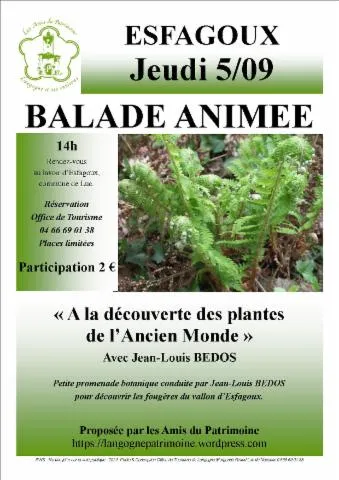 Image qui illustre: Balade Animée - À La Découverte Des Plantes De L'ancien Monde -&nbsp;jean-louis Bedos