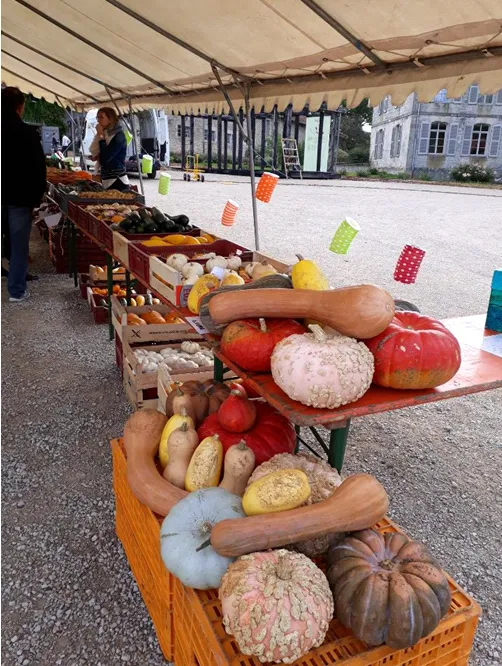 Image qui illustre: Fête Des Légumes Et Salon Du Terroir à Montiers-sur-Saulx - 0