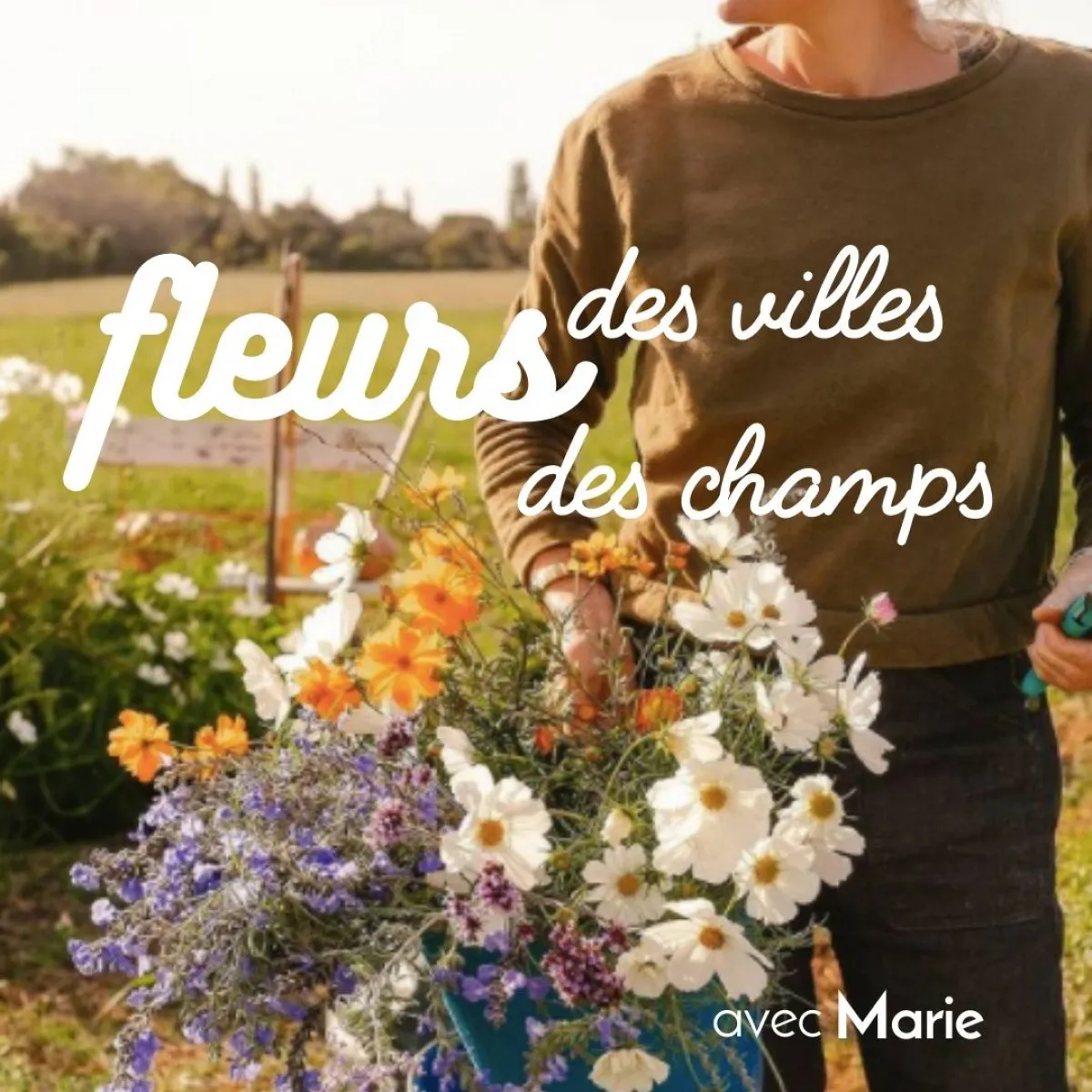 Image qui illustre: Récoltez et composez votre bouquet à Arles - 0