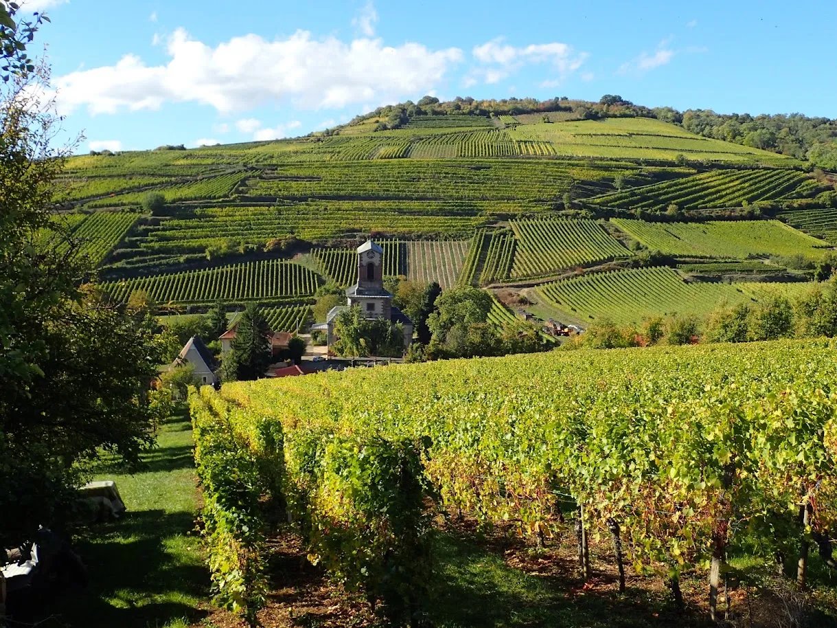 Image qui illustre: Colline du Strangenberg