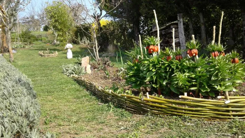Image qui illustre: Visite du jardin Rosemary