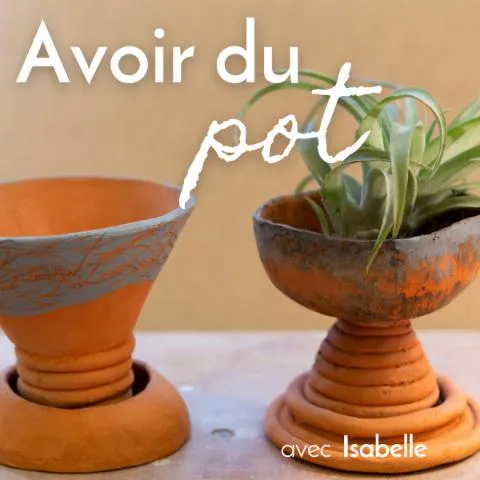 Image qui illustre: Modelez votre pot à plante terracota