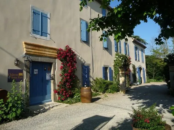 Image qui illustre: Château Du Vieux Parc