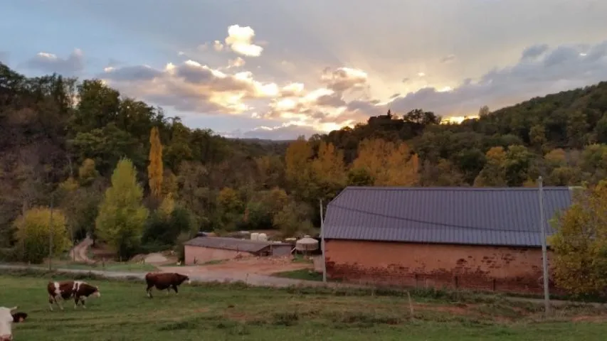 Image qui illustre: Ferme des Aza Lait