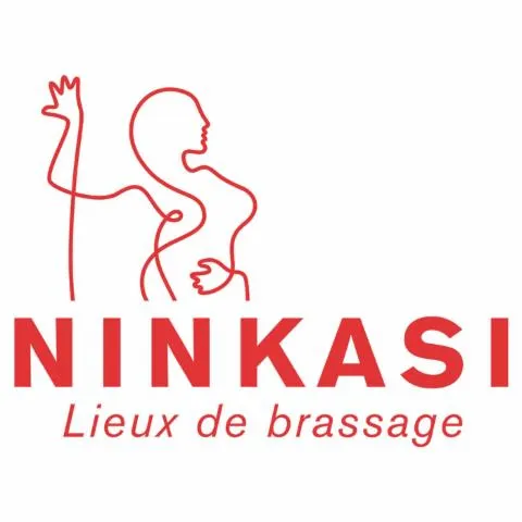 Image qui illustre: Ninkasi La Soie