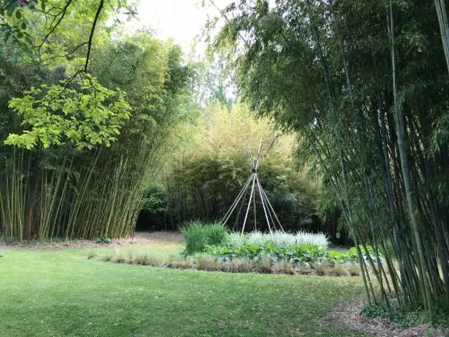 Image qui illustre: Le Parc Aux Bambous