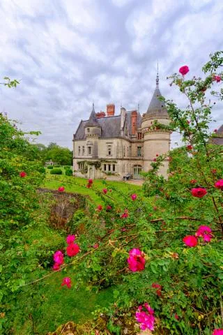Image qui illustre: Rendez-vous aux jardins au Château de la Bourdaisière
