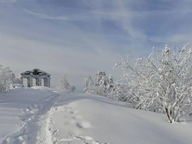 Image qui illustre: Domaine Nordique Du Donon