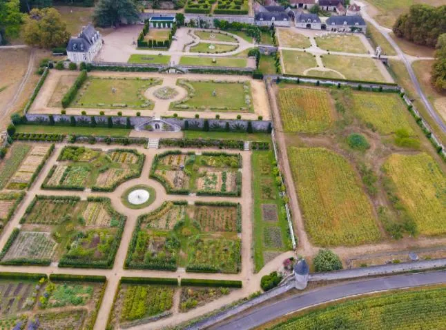 Image qui illustre: Jardins du Château de Valmer JEP 2024