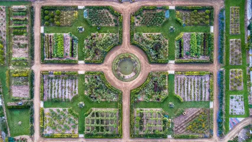 Image qui illustre: Jardins du Château de Valmer JEP 2024