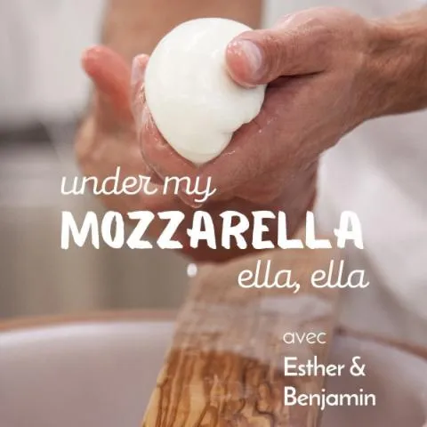 Image qui illustre: Fabriquez votre mozzarella et votre burrata