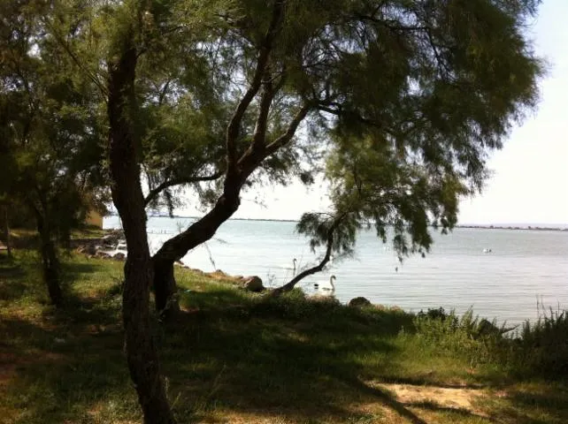 Image qui illustre: Bouches-du-Rhône en Paysages - Marignane, au fil de l'eau