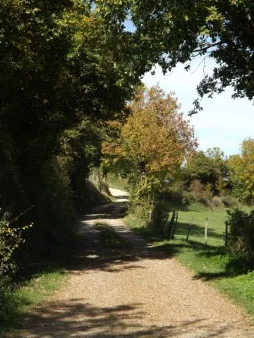 Image qui illustre: Randonnée sur la Trace de la Transhumance, de Varès à Lenne