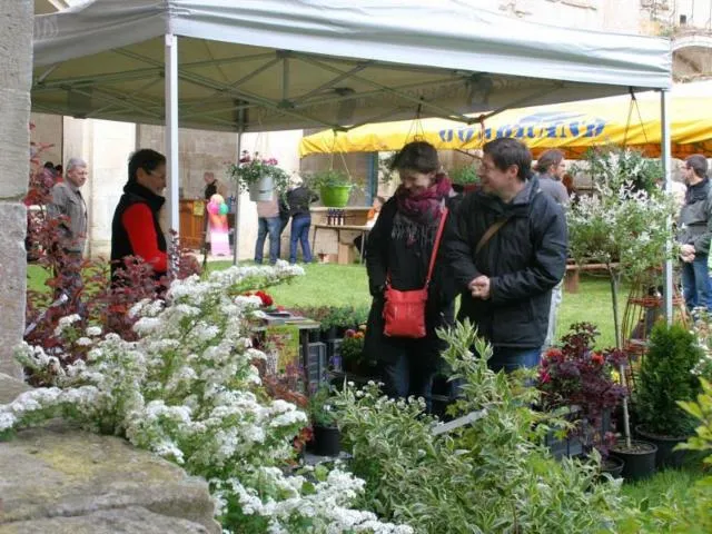 Image qui illustre: Marché De Terroir