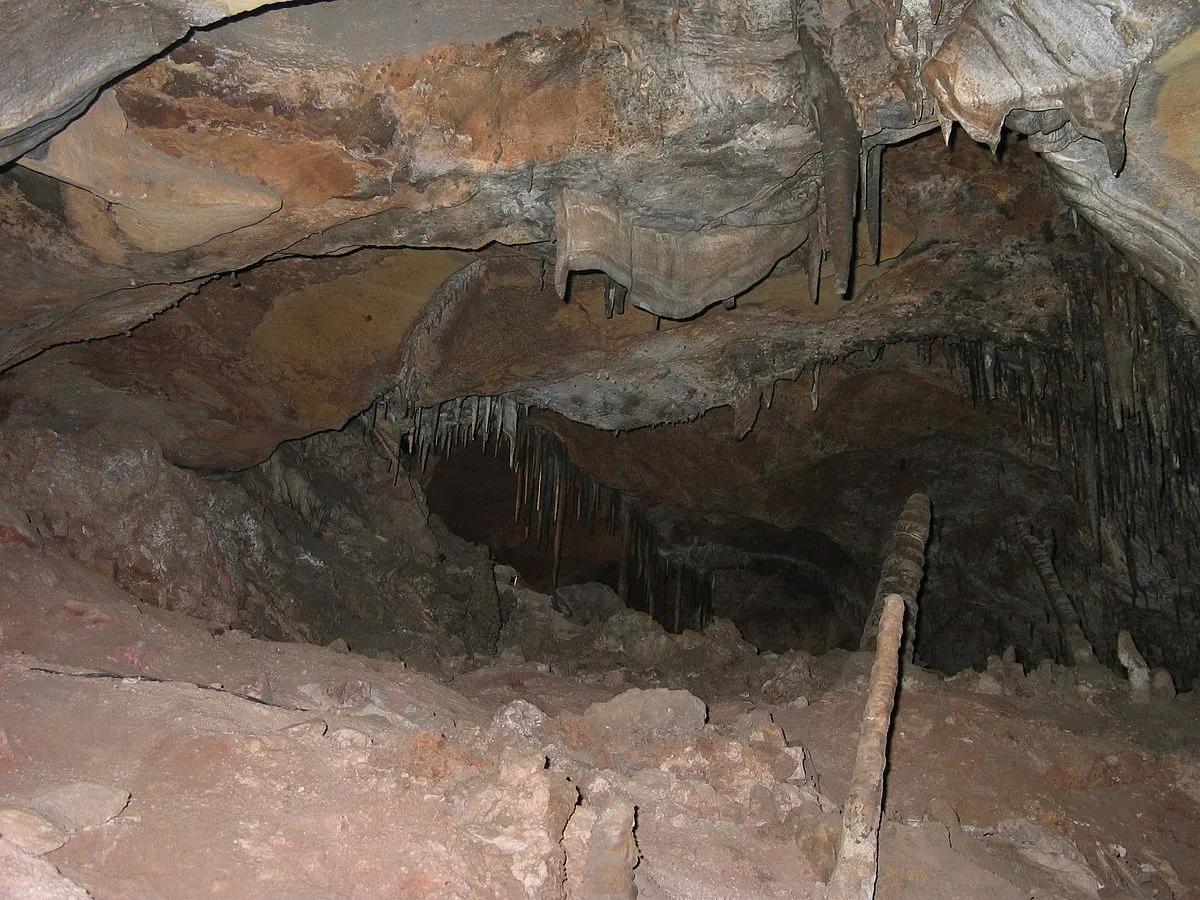 Image qui illustre: Cueva del Viento à  - 0
