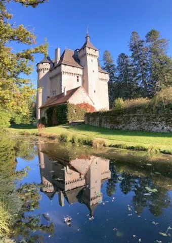 Image qui illustre: Visite guidée du château de la Chezotte