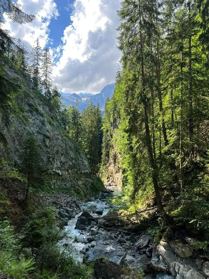 Image qui illustre: Les Gorges de la Diosaz