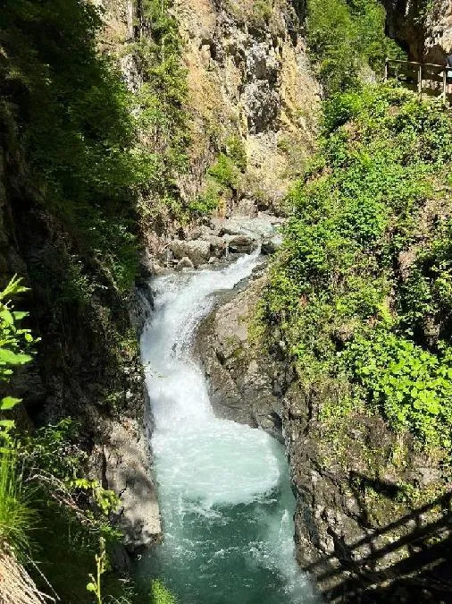 Image qui illustre: Les Gorges de la Diosaz