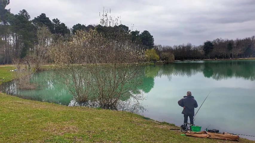 Image qui illustre: Balade à roulettes : Le lac vert