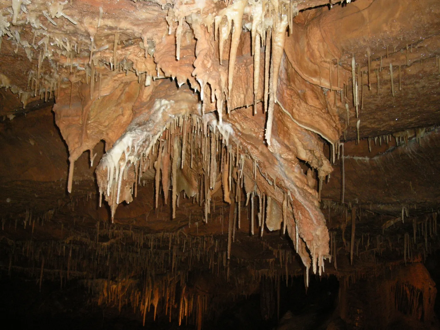 Image qui illustre: Grottes De Lacave à Lacave - 1