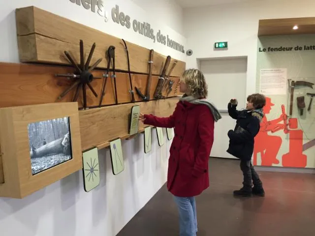 Image qui illustre: Château De Senonches - Forêt D’histoires