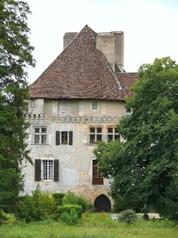 Image qui illustre: Château Des Junies