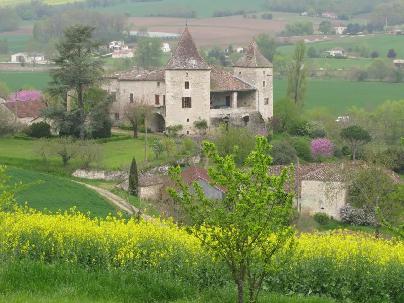 Image qui illustre: Au Fil des Vallées du Lendou et du Tartuguier à Lendou-en-Quercy - 0