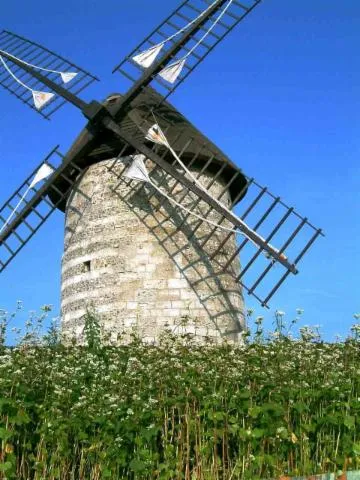 Image qui illustre: Visite libre du moulin