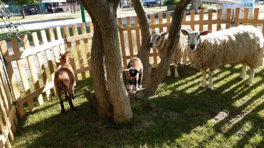 Image qui illustre: Ferme De Natur'a